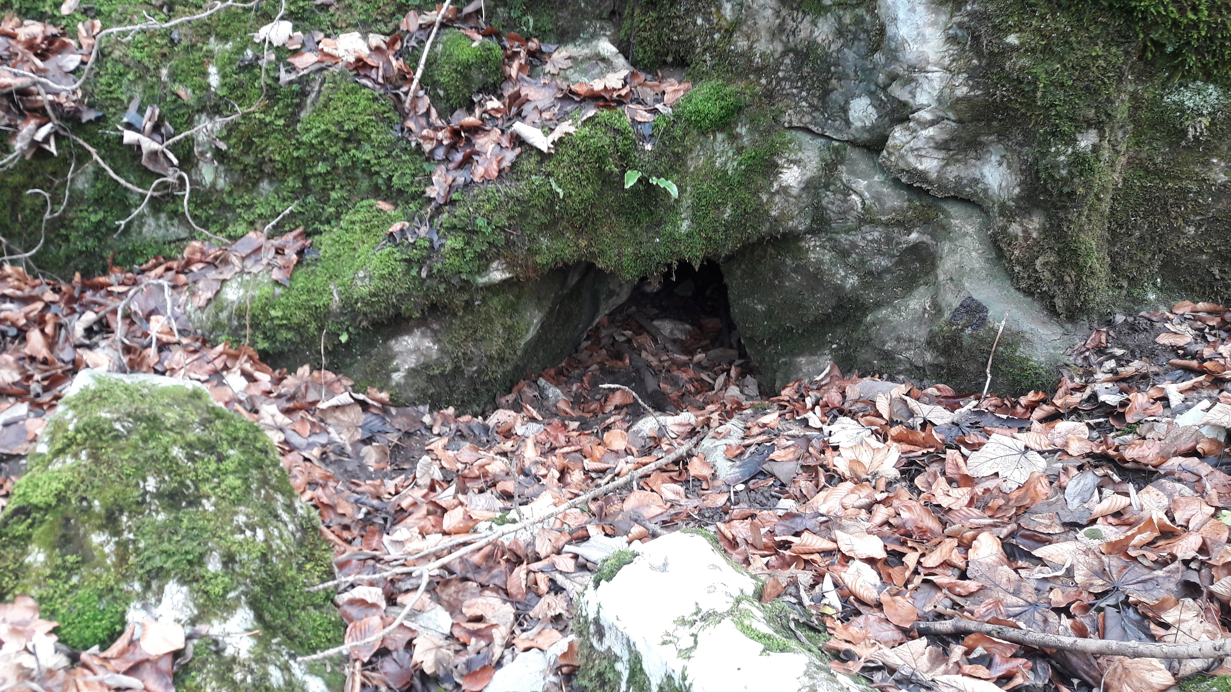 Peștera Țânțarilor - Image 2